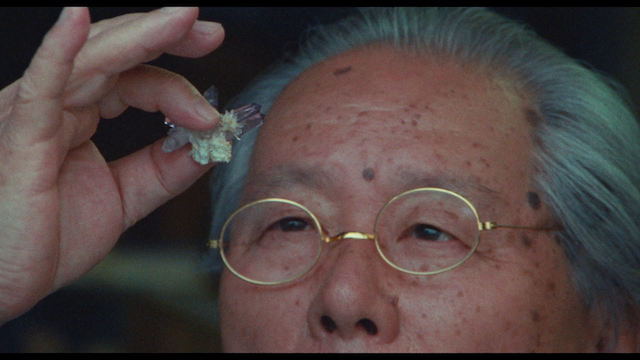 Anmonaito no sasayaki wo kiita (1992) (HD) | Worldscinema | Download Free-poster