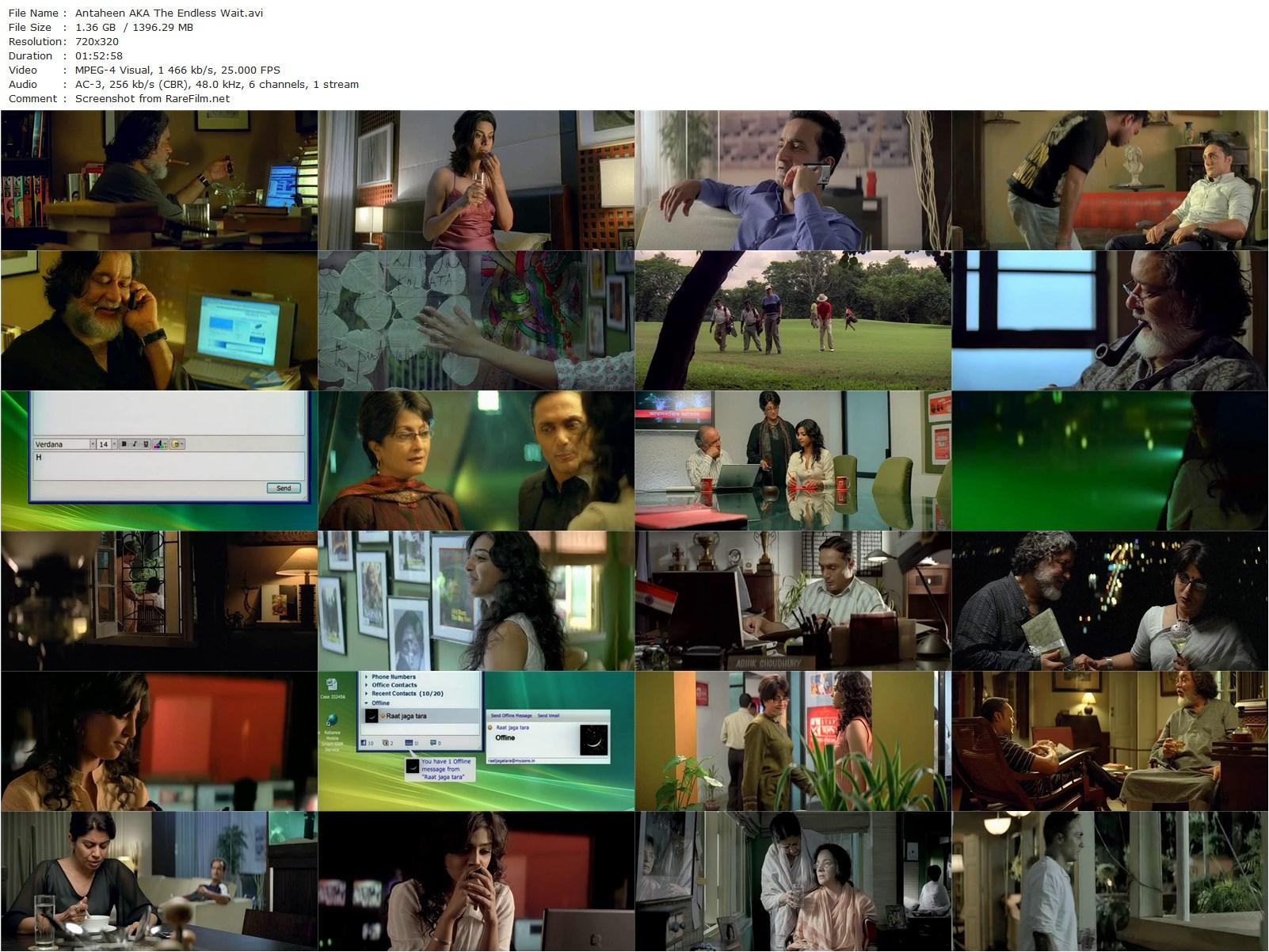 Antaheen / The Endless Wait (2009) Aniruddha Roy Chowdhury, Rahul Bose, Aparna Sen, Radhika Apte-poster