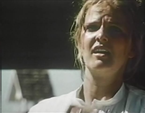 Apache Blood (1975) Vern Piehl, Ray Danton, Dewitt Lee, Troy Nabors, Western-poster