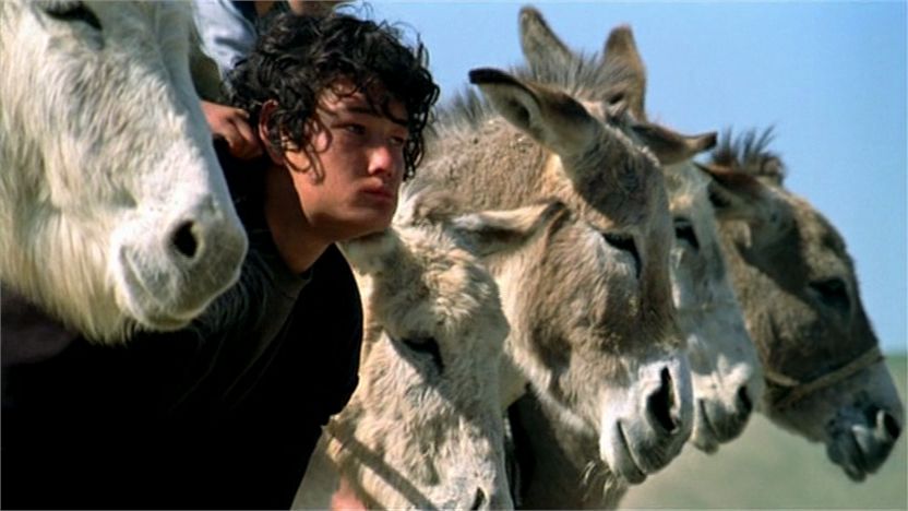 Two-Legged Horse (2008) Samira Makhmalbaf, Ziya Mirza Mohamad, Haron Ahad, Gol-Ghotai-poster