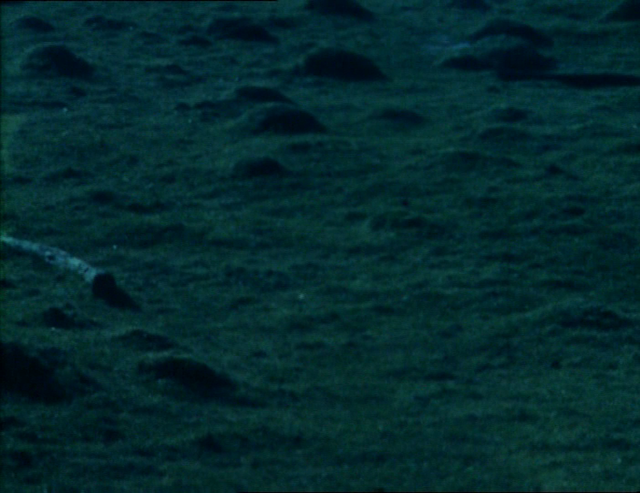 Derek Jarman - Ashden's Walk on Møn (1973)-poster