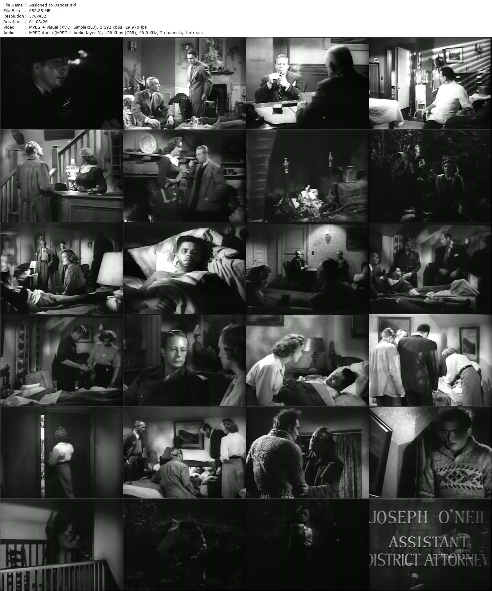 Assigned to Danger (1948) Budd Boetticher, Gene Raymond, Noreen Nash, Robert Bice-poster