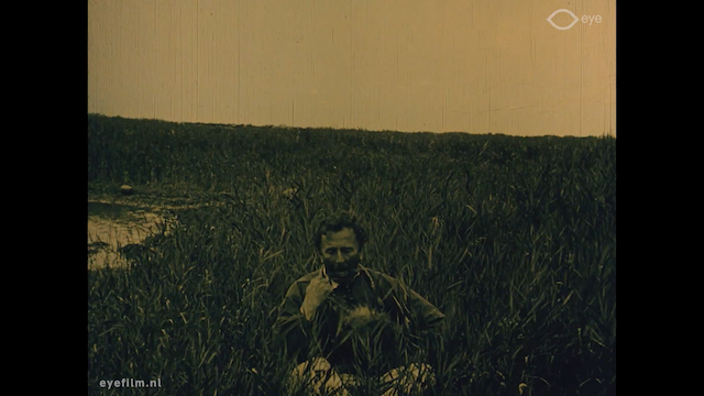 Auf einsamer Insel (1913) | worldscinema.org-poster