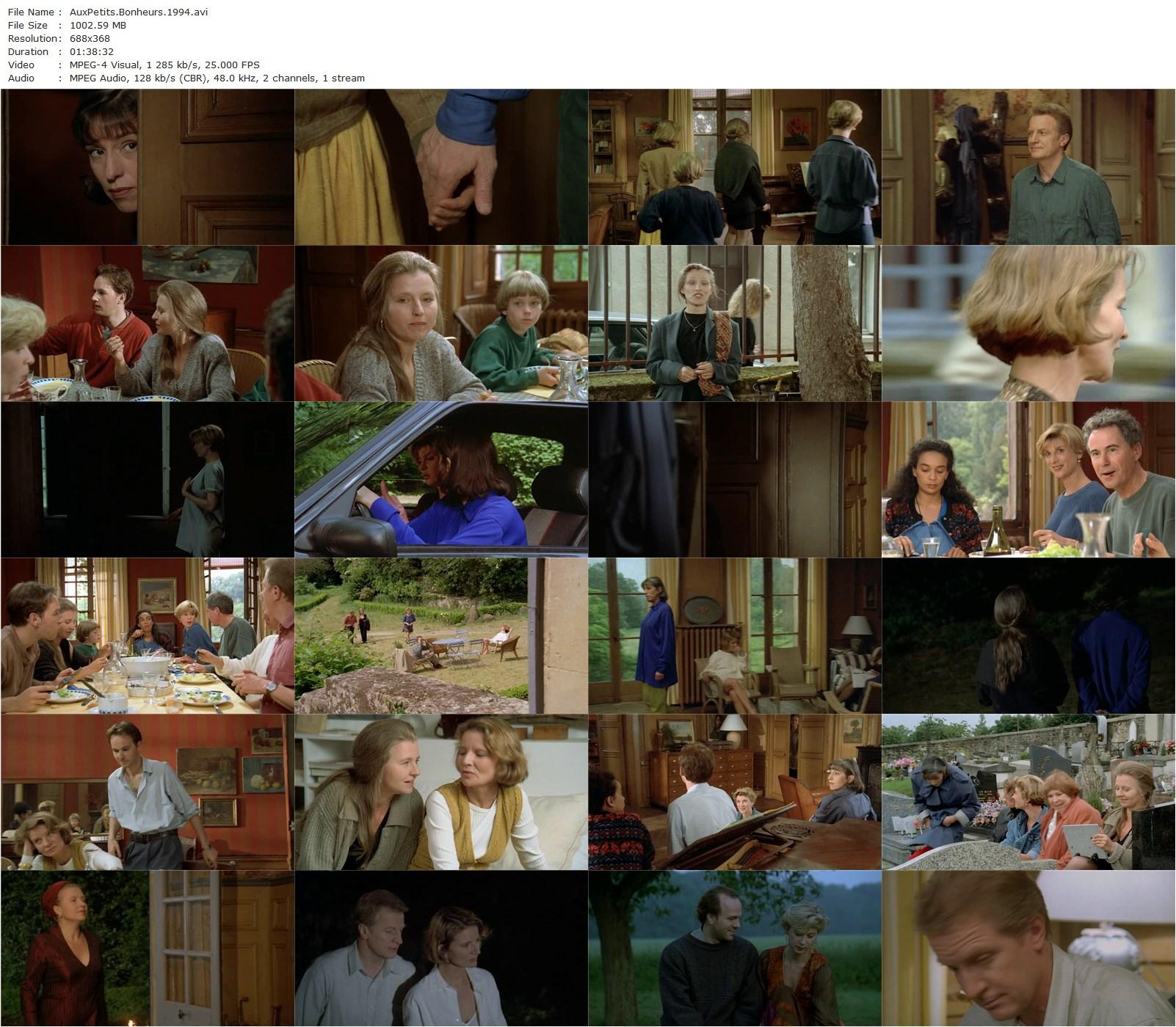 Life’s Little Treasures AKA Aux petits bonheurs (1994) Michel Deville, Anémone, Xavier Beauvois, André Dussollier-poster