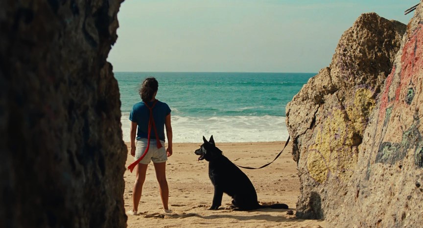 Ava (2017) Léa Mysius, Noée Abita, Laure Calamy, Juan Cano, Drama, Romance-poster