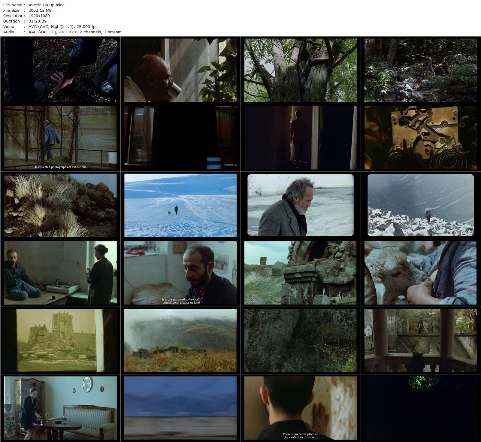 Avetik (1992) Don Askarian, Alik Asatryan, Mikhail Stepanyan, Karen Dzhanibekyan-poster