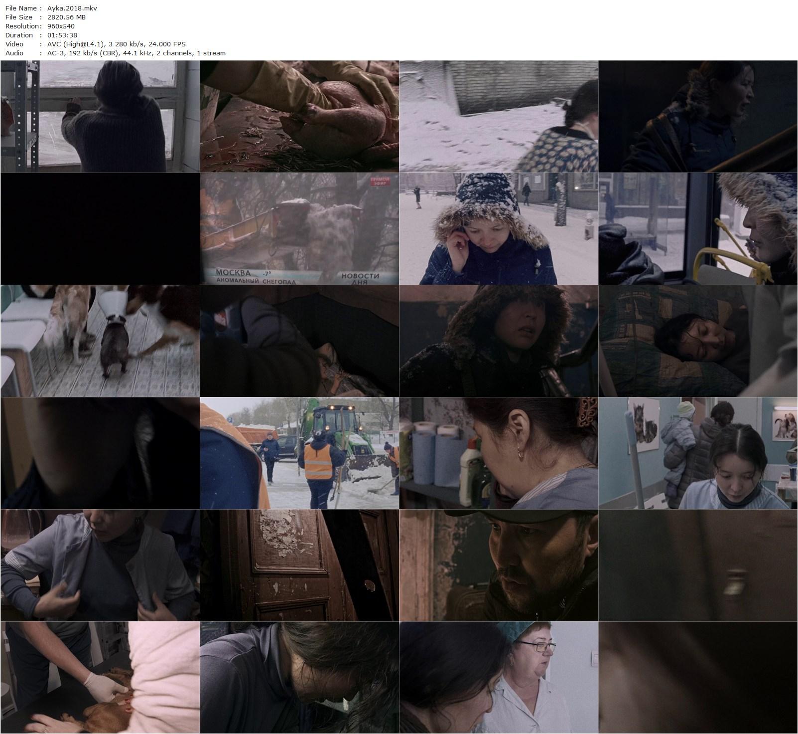 Ayka (2018) Sergei Dvortsevoy, Samal Yeslyamova, Zhipara Abdilaeva, Sergey Mazur-poster