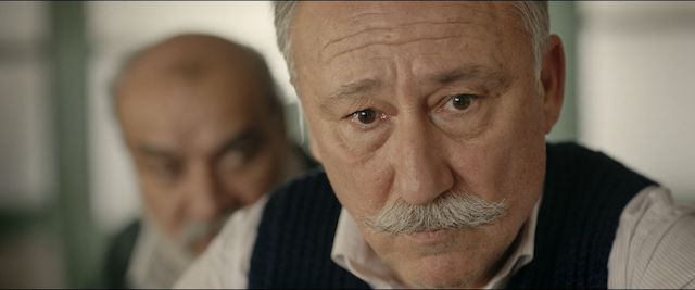 Ayla: The Daughter of War (2017) by Can Ulkay-poster