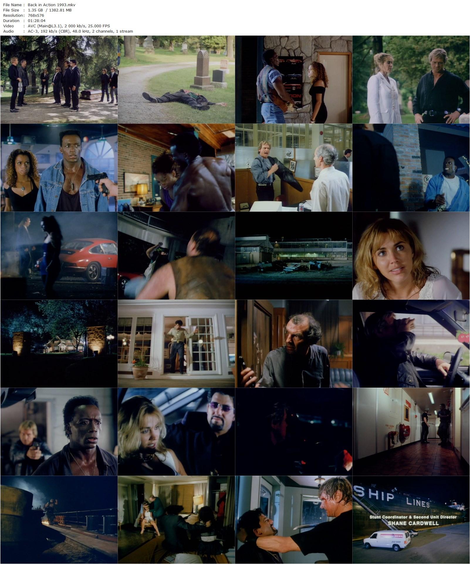 Back in Action (1994) Steve DiMarco, Paul Ziller, Billy Blanks, Roddy Piper, Bobbie Phillips-poster