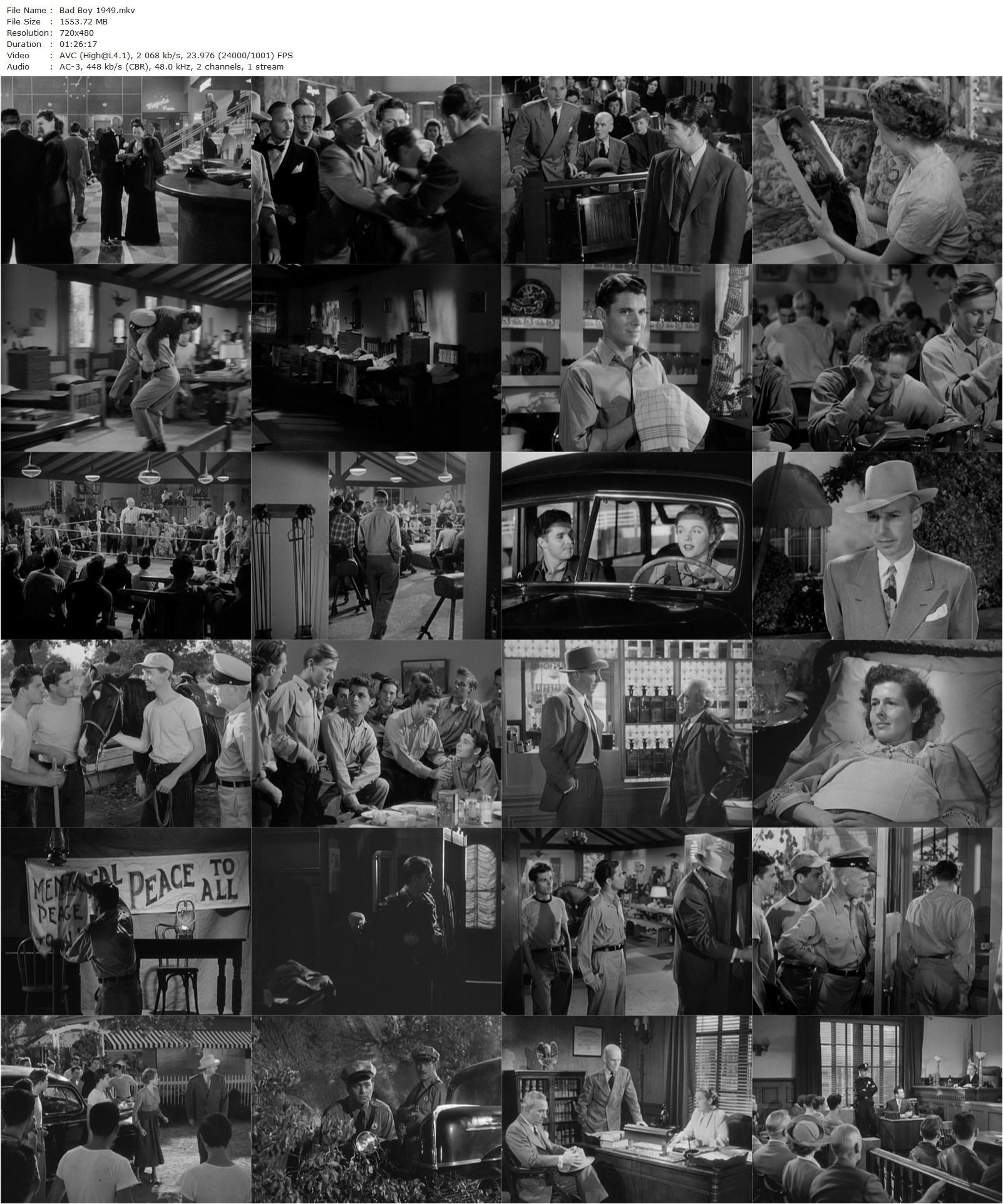 Bad Boy (1949) Kurt Neumann, Audie Murphy, Lloyd Nolan, Jane Wyatt-poster