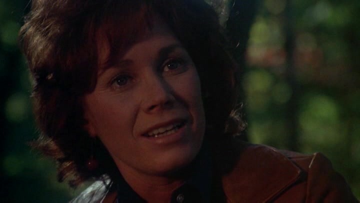 Badge 373 (1973) Howard W. Koch, Robert Duvall, Verna Bloom, Henry Darrow-poster