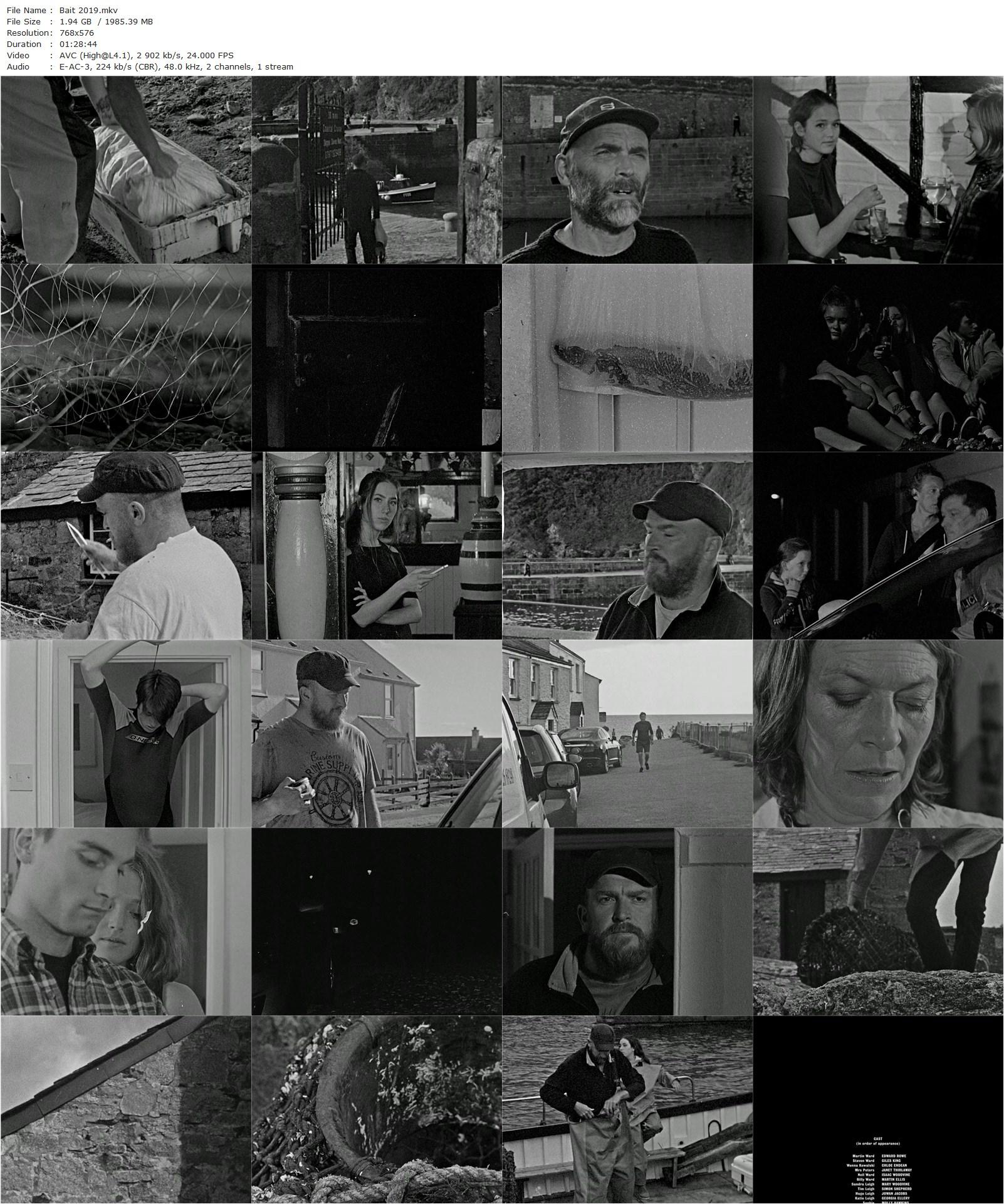 Bait (2019) Mark Jenkin, Edward Rowe, Giles King, Chloe Endean-poster