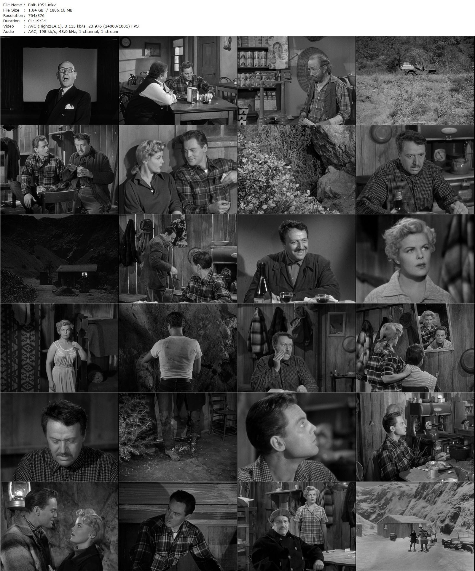 Bait (1954) Hugo Haas, Cleo Moore, John Agar-poster