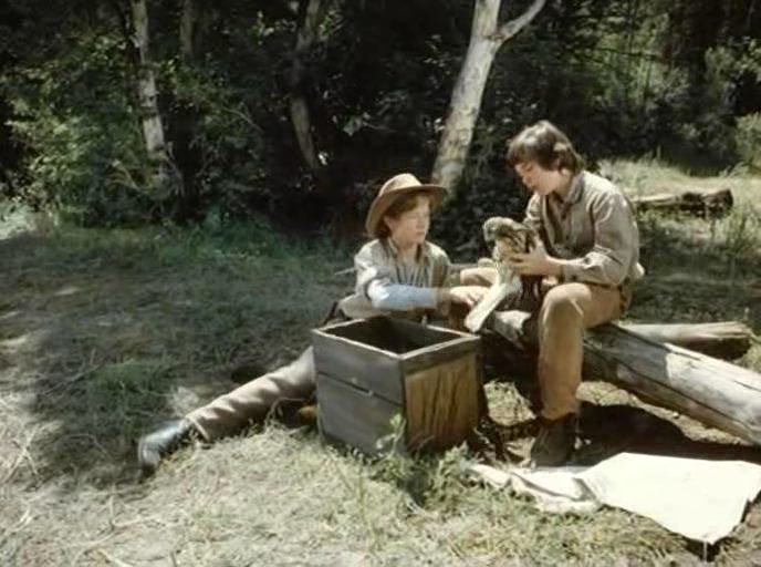 Baker’s Hawk (1976) Lyman Dayton, Clint Walker, Burl Ives, Diane Baker-poster