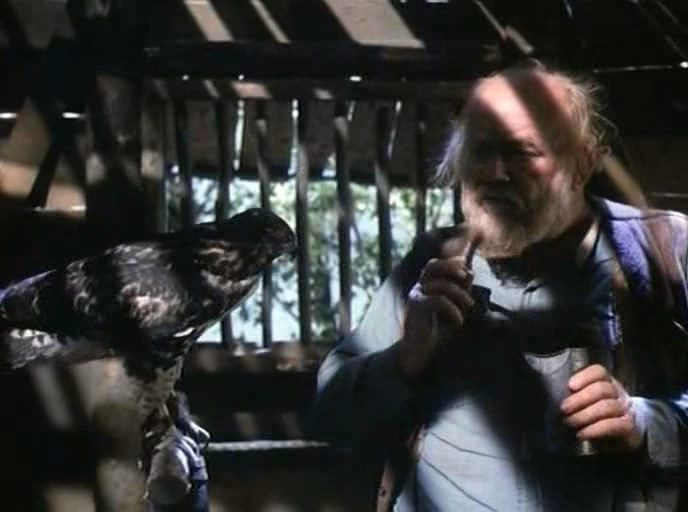 Baker’s Hawk (1976) Lyman Dayton, Clint Walker, Burl Ives, Diane Baker-poster