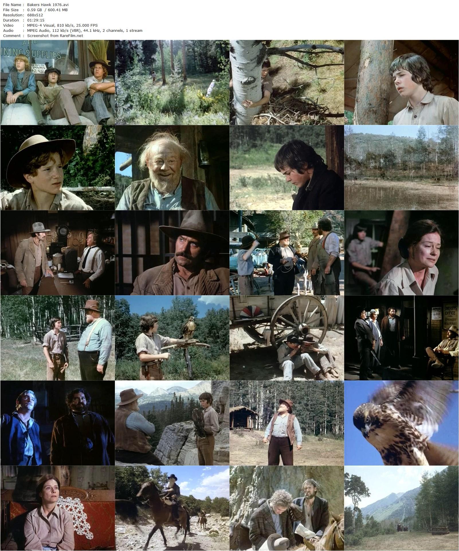 Baker’s Hawk (1976) Lyman Dayton, Clint Walker, Burl Ives, Diane Baker-poster