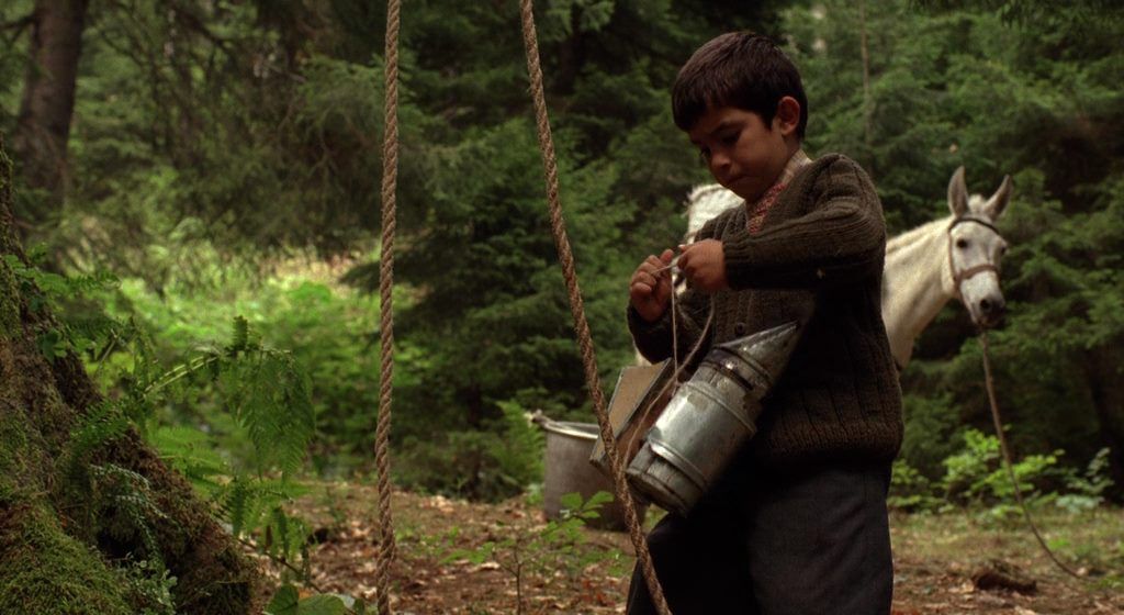 Bal / Honey (2010) Semih Kaplanoglu, Bora Altas, Erdal Besikçioglu, Tülin Özen, Drama-poster