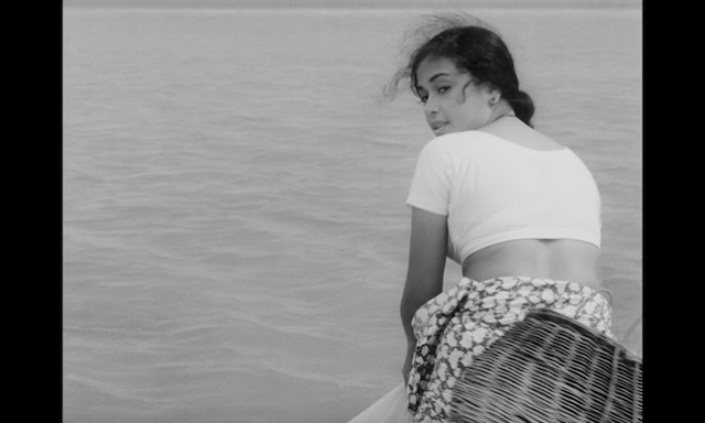 Dharmasena Pathiraja - Bambaru Avith AKA The Wasps Are Here (1977)-poster