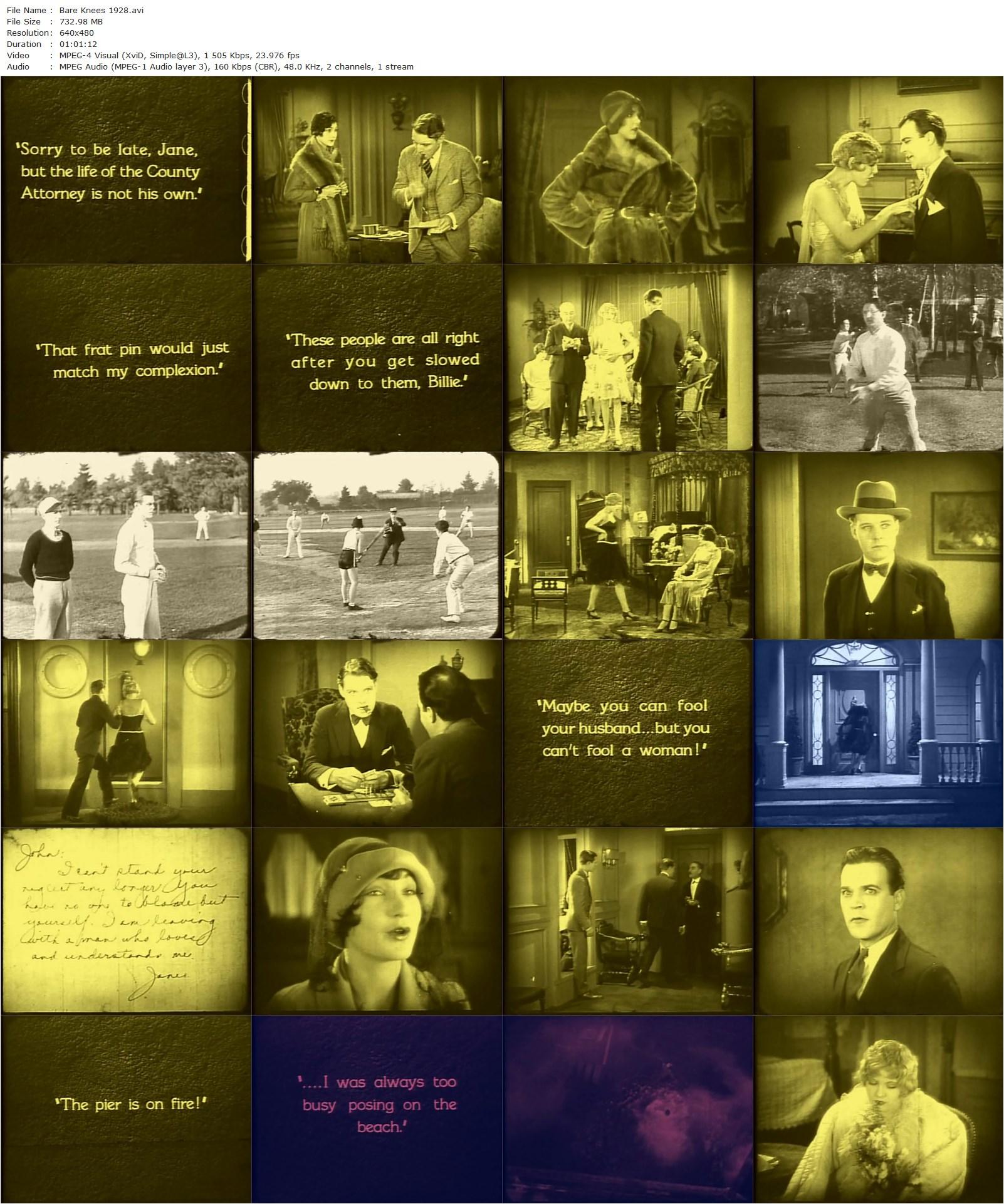 Bare Knees (1928) Erle C. Kenton, Virginia Lee Corbin, Donald Keith, Jane Winton-poster