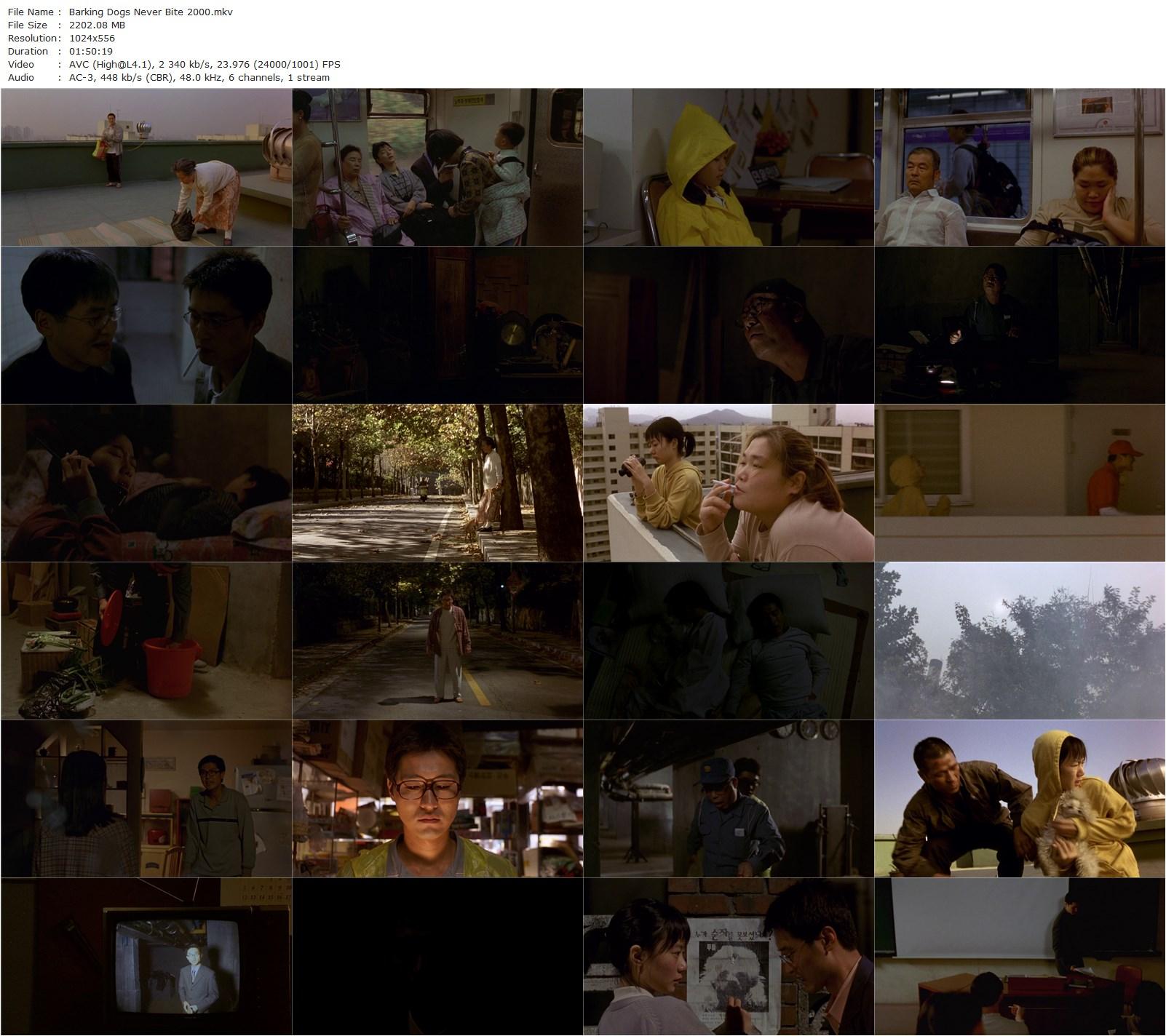 Barking Dogs Never Bite AKA Flandersui gae (2000) Bong Joon Ho, Doona Bae, Sung-Jae Lee, Ho-jung Kim-poster