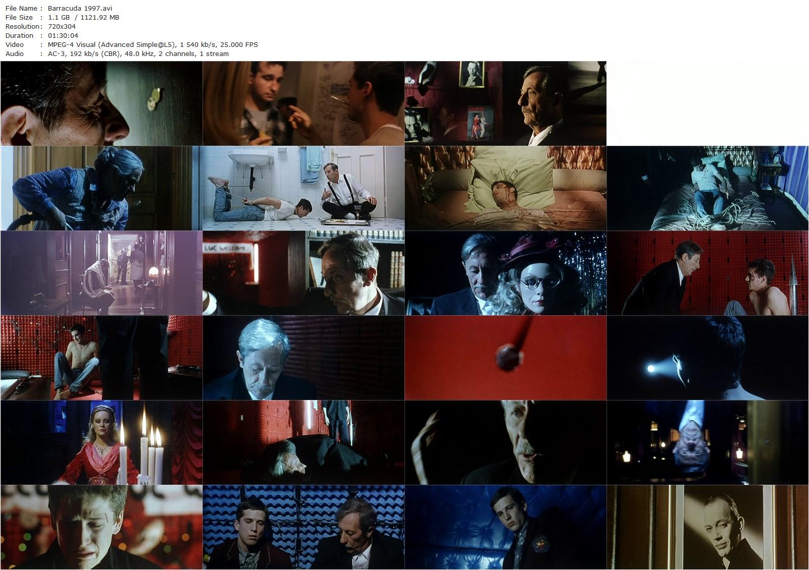 Barracuda (1997) Philippe Haïm, Jean Rochefort, Guillaume Canet, Claire Keim-poster