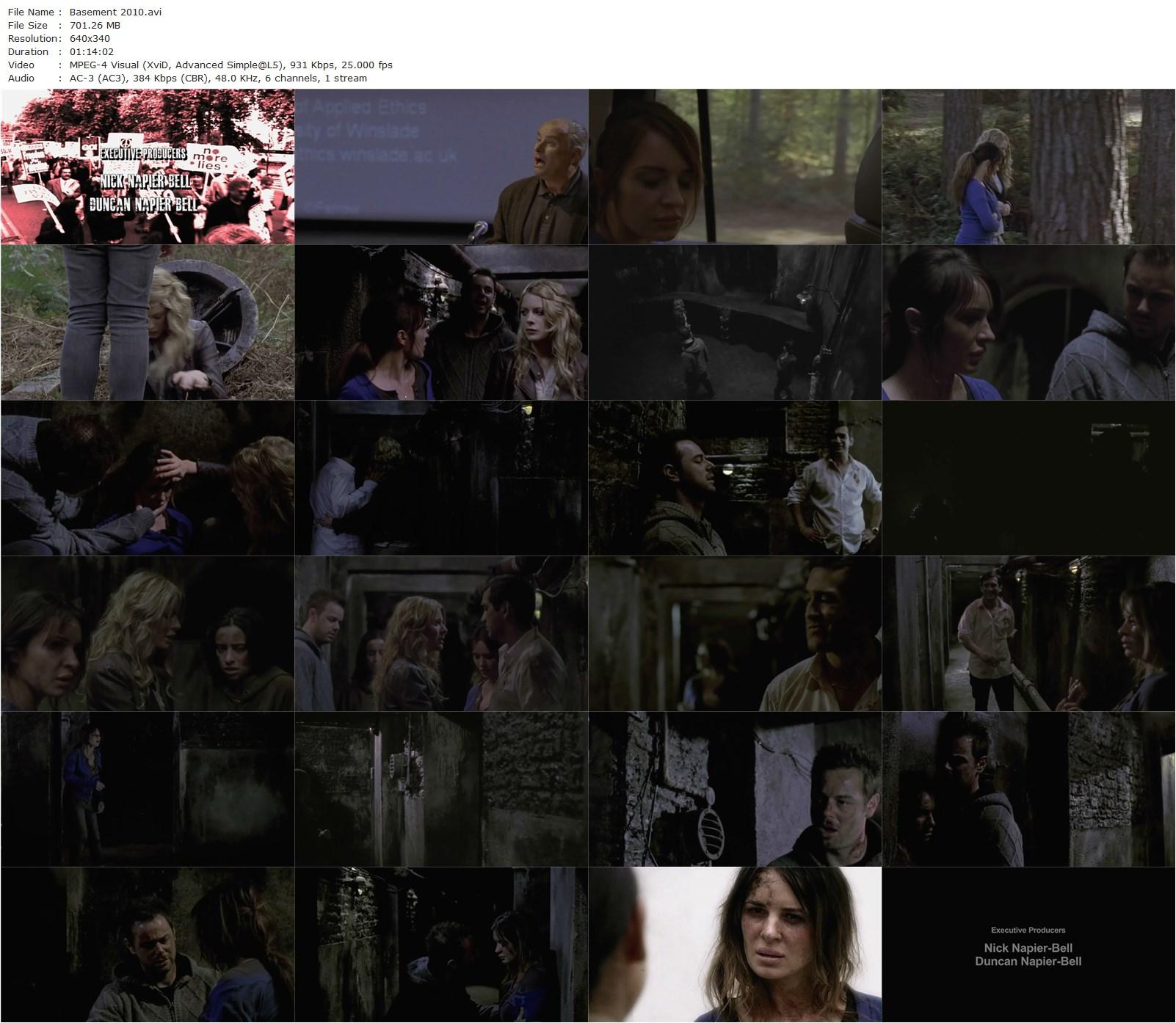 Basement (2010) Asham Kamboj, Danny Dyer, Jimi Mistry, Kierston Wareing-poster