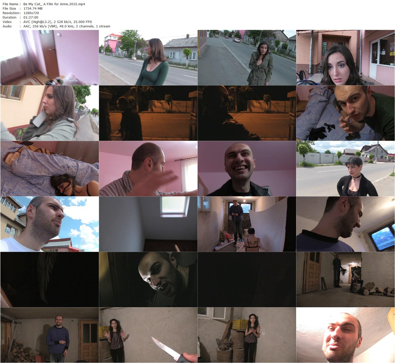 Be My Cat: A Film for Anne (2015) Adrian Tofei, Sonia Teodoriu, Florentina Hariton-poster