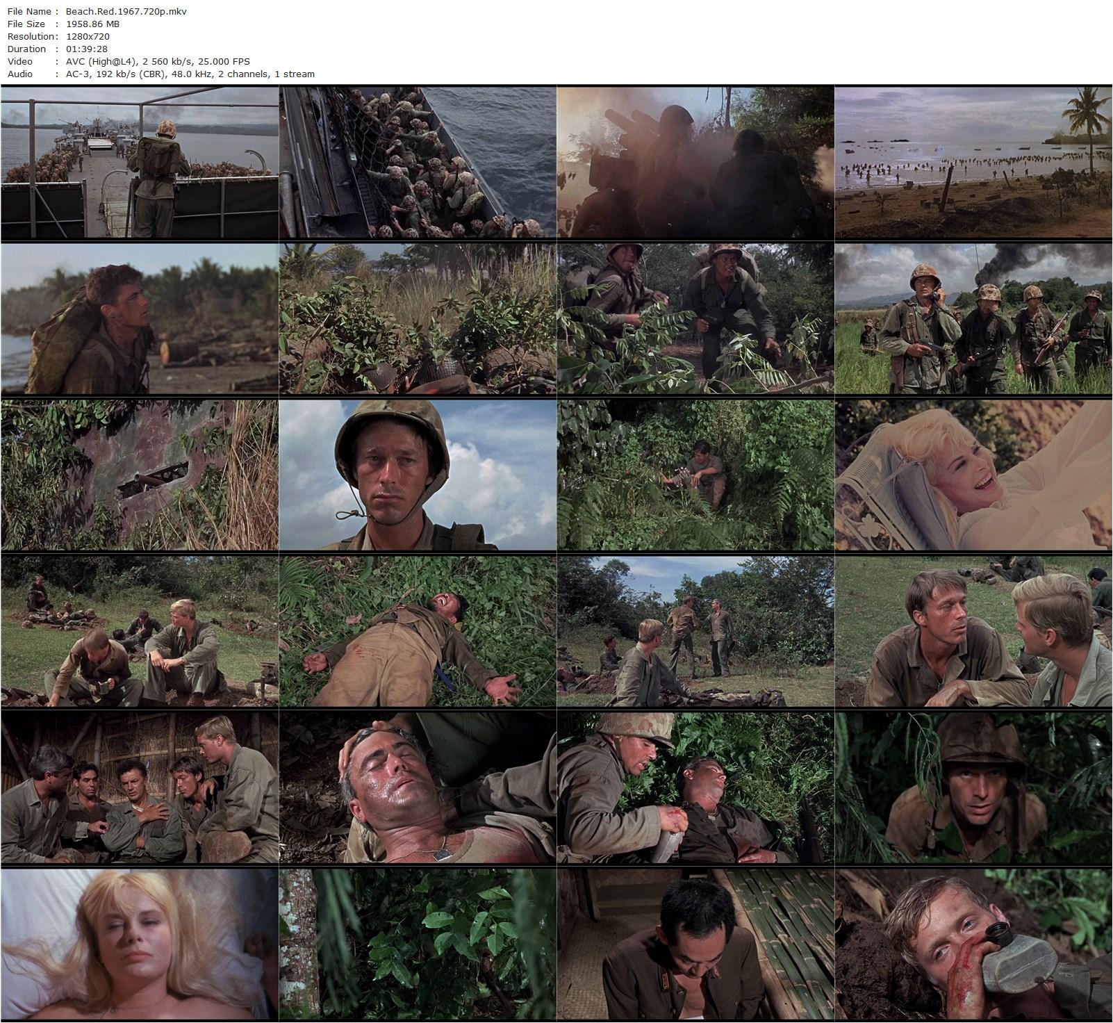 Beach Red (1967) Cornel Wilde, Rip Torn, Burr DeBenning-poster