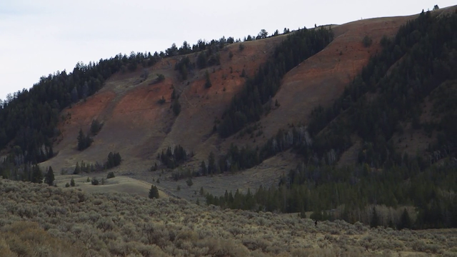 Becoming Animal (2018) | Worldscinema | Download Free-poster