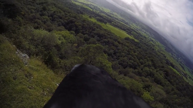 Becoming Animal (2018) | Worldscinema | Download Free-poster