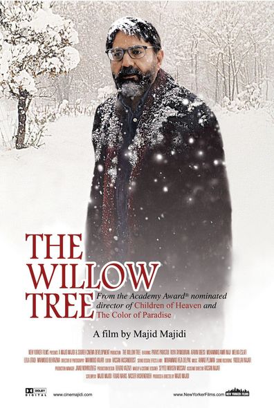 The Willow Tree AKA Beed-e majnoon (2005) Majid Majidi, Parviz Parastui, Roya Taymourian, Afarin Obeisi