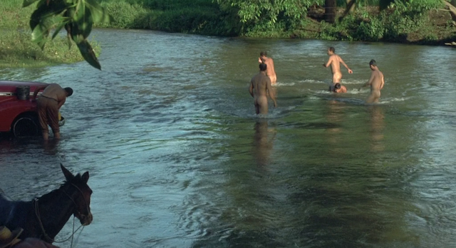 Before Night Falls (2000)-poster