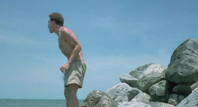 Before Night Falls (2000)-poster