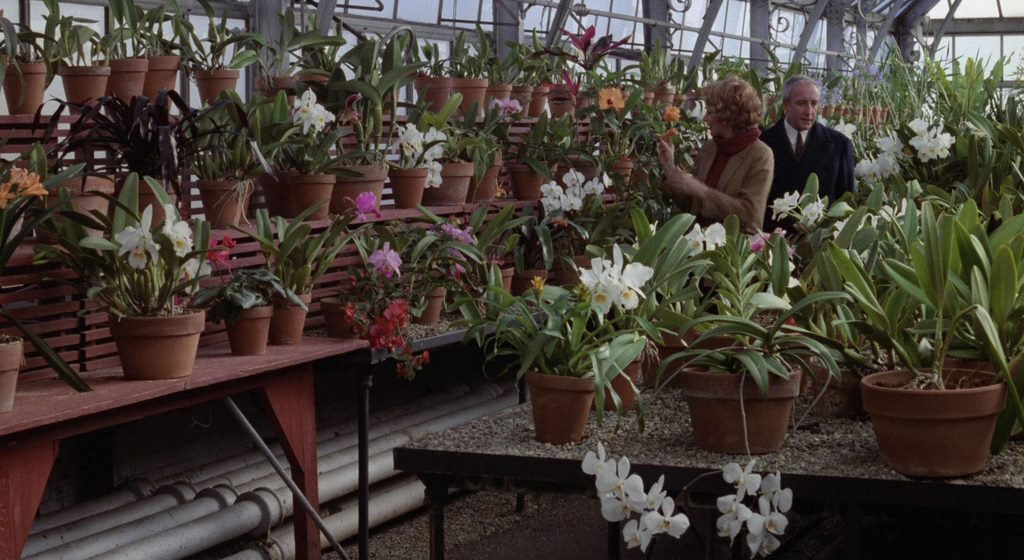 Being There (1979) Hal Ashby, Peter Sellers, Shirley MacLaine, Melvyn Douglas, Comedy, Drama-poster