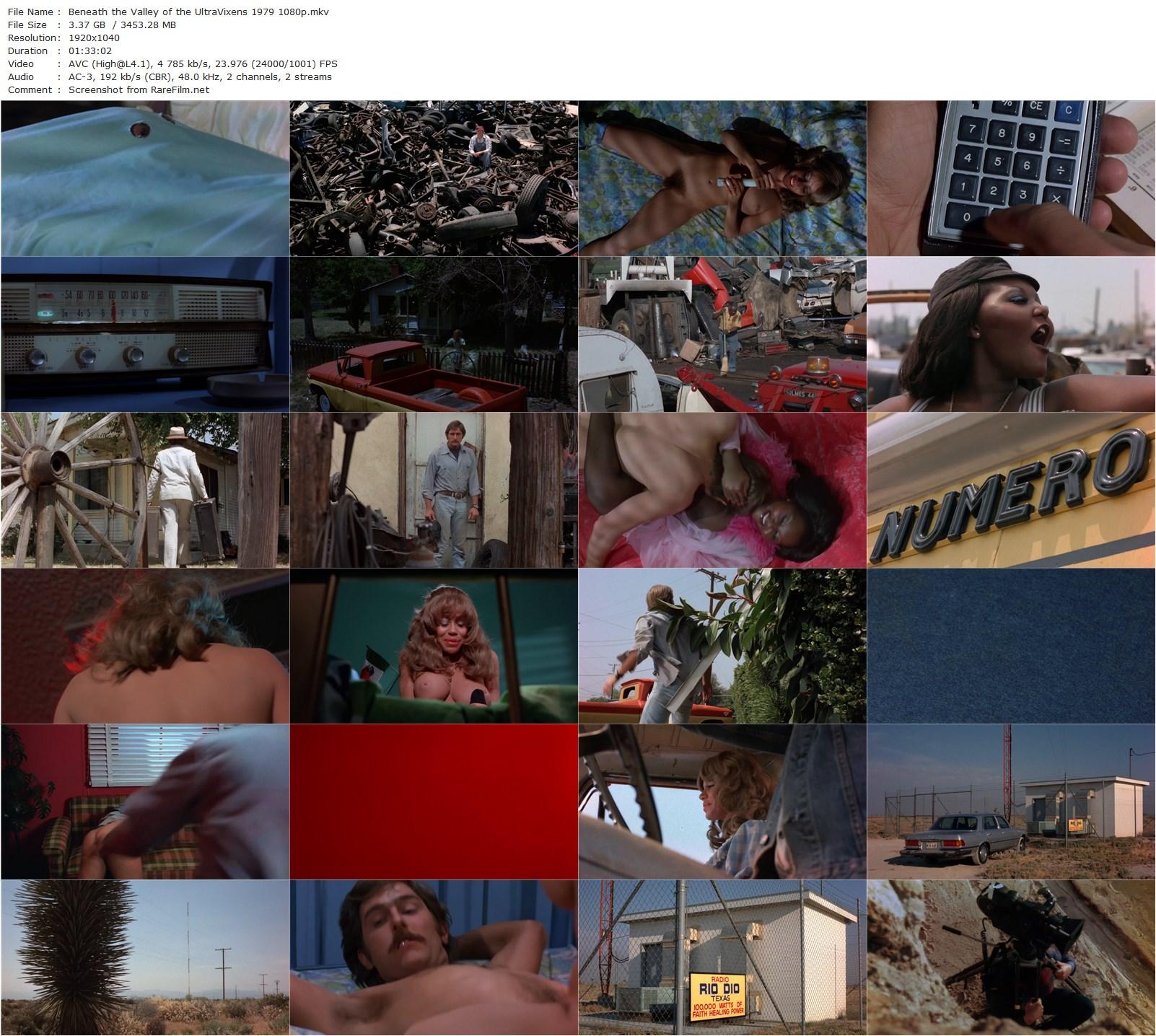 Beneath the Valley of the Ultra-Vixens (1979) Russ Meyer, Kitten Natividad, Ann Marie, Ken Kerr-poster