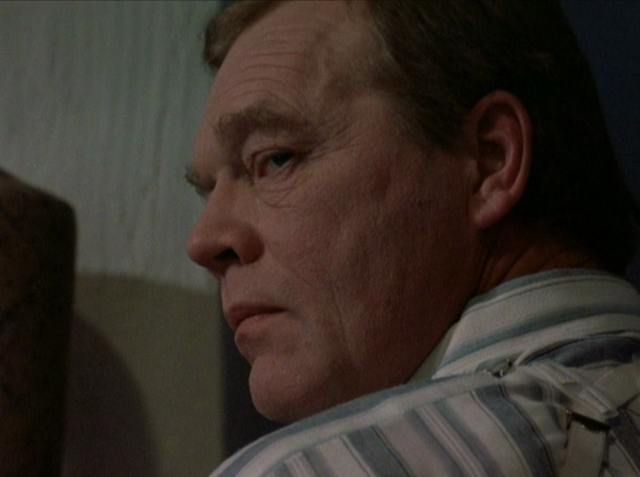 Besökarna (1988) by Jack Ersgard-poster