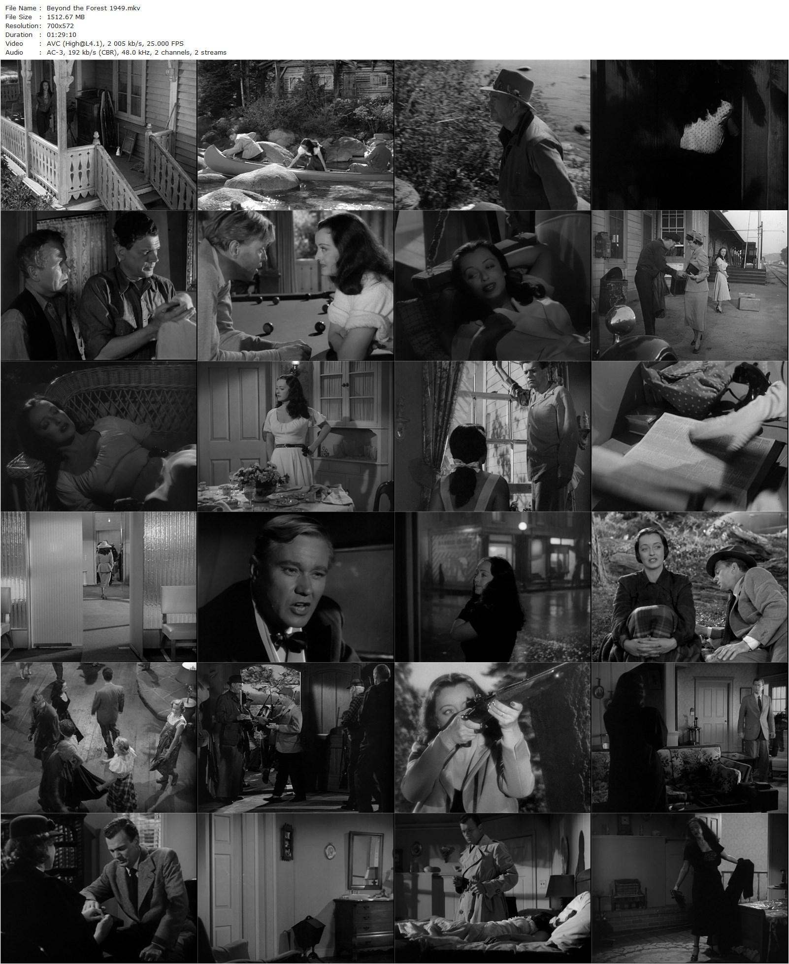 Beyond the Forest (1949) King Vidor, Bette Davis, Joseph Cotten, David Brian-poster