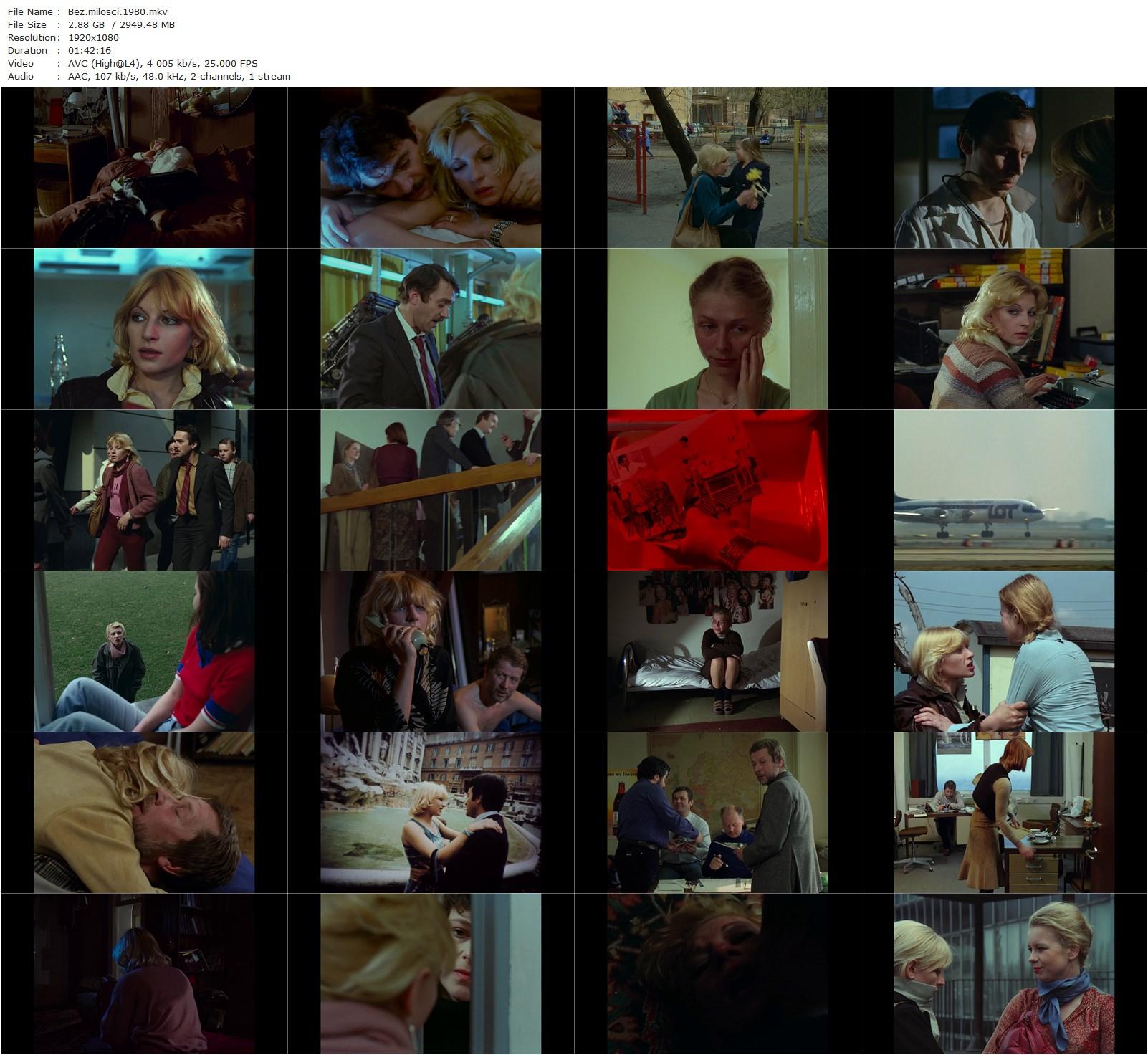 Without Love AKA Bez milosci (1980) Barbara Sass, Dorota Stalinska, Wladyslaw Kowalski, Zdzislaw Wardejn-poster