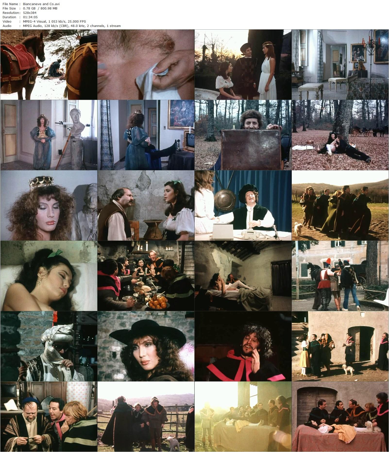 Snow White and 7 Wise Men AKA Biancaneve & Co… (1982) Mario Bianchi, Michela Miti, Franco Bracardi, Aldo Sambrell-poster