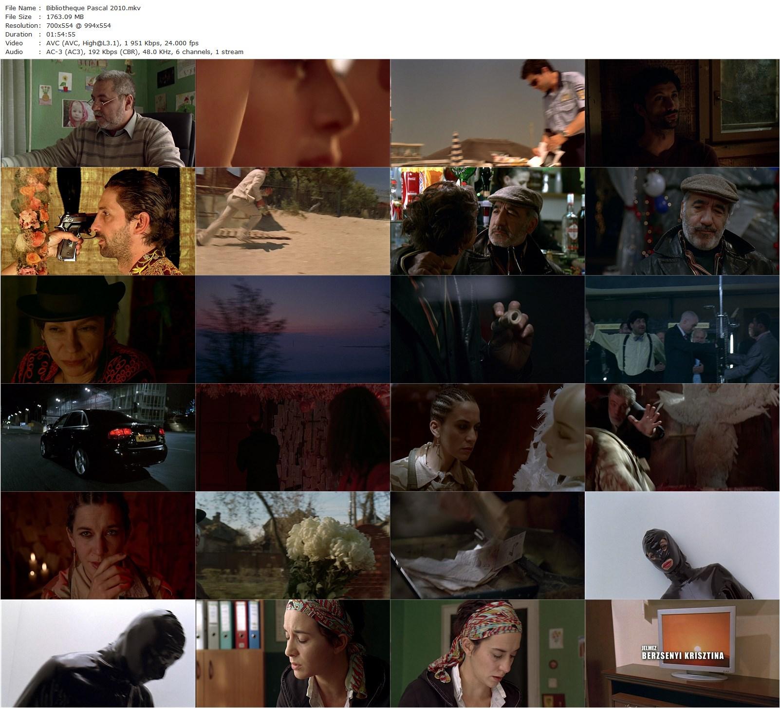 Bibliothèque Pascal (2010) Szabolcs Hajdu, Orsolya Török-Illyés, Oana Pellea, Razvan Vasilescu-poster