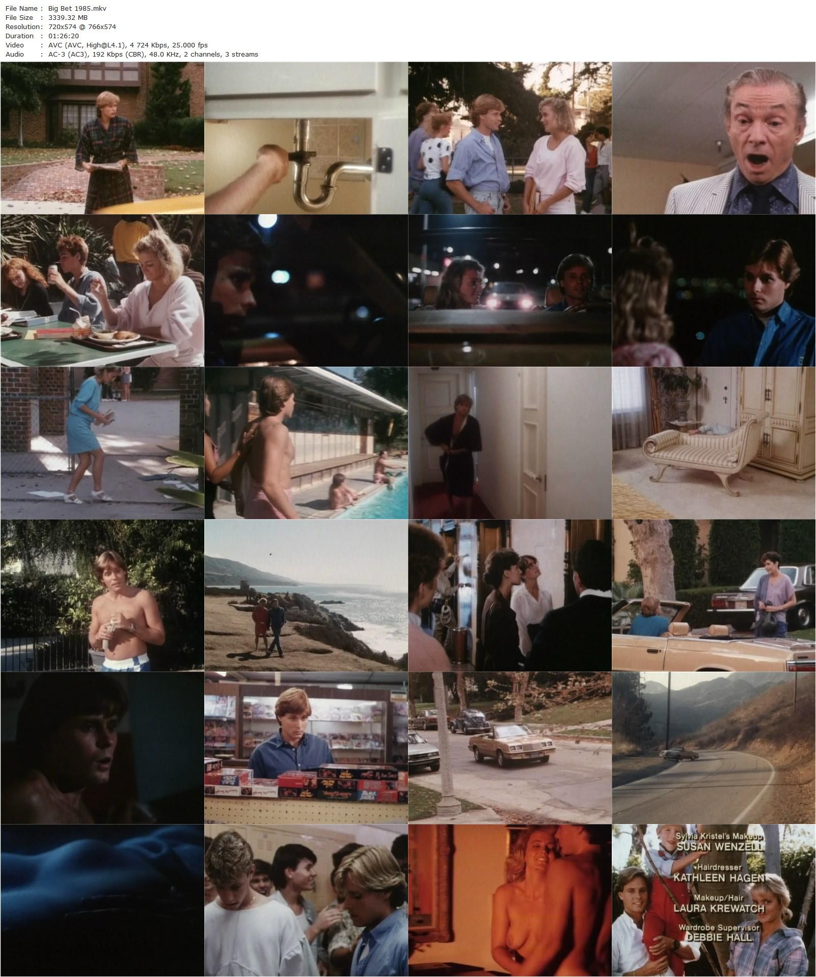 The Big Bet (1985) Bert I. Gordon, Lance Sloane, Kim Evenson, Sylvia Kristel-poster