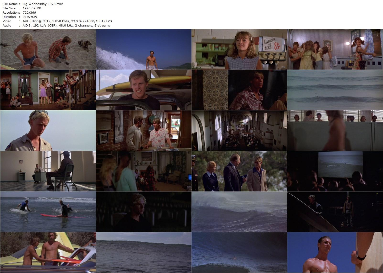 Big Wednesday (1978) John Milius, Jan-Michael Vincent, William Katt, Gary Busey-poster