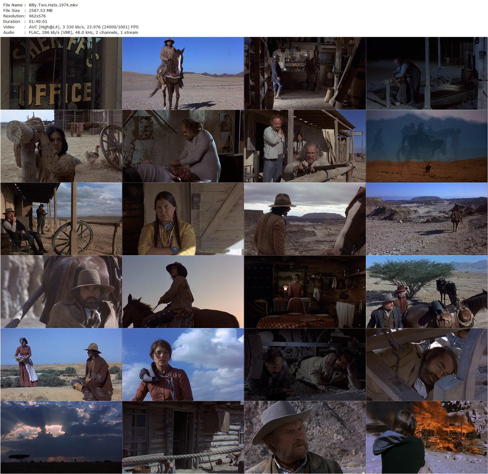 Billy Two Hats (1974) Ted Kotcheff, Gregory Peck, Desi Arnaz Jr., Jack Warden-poster