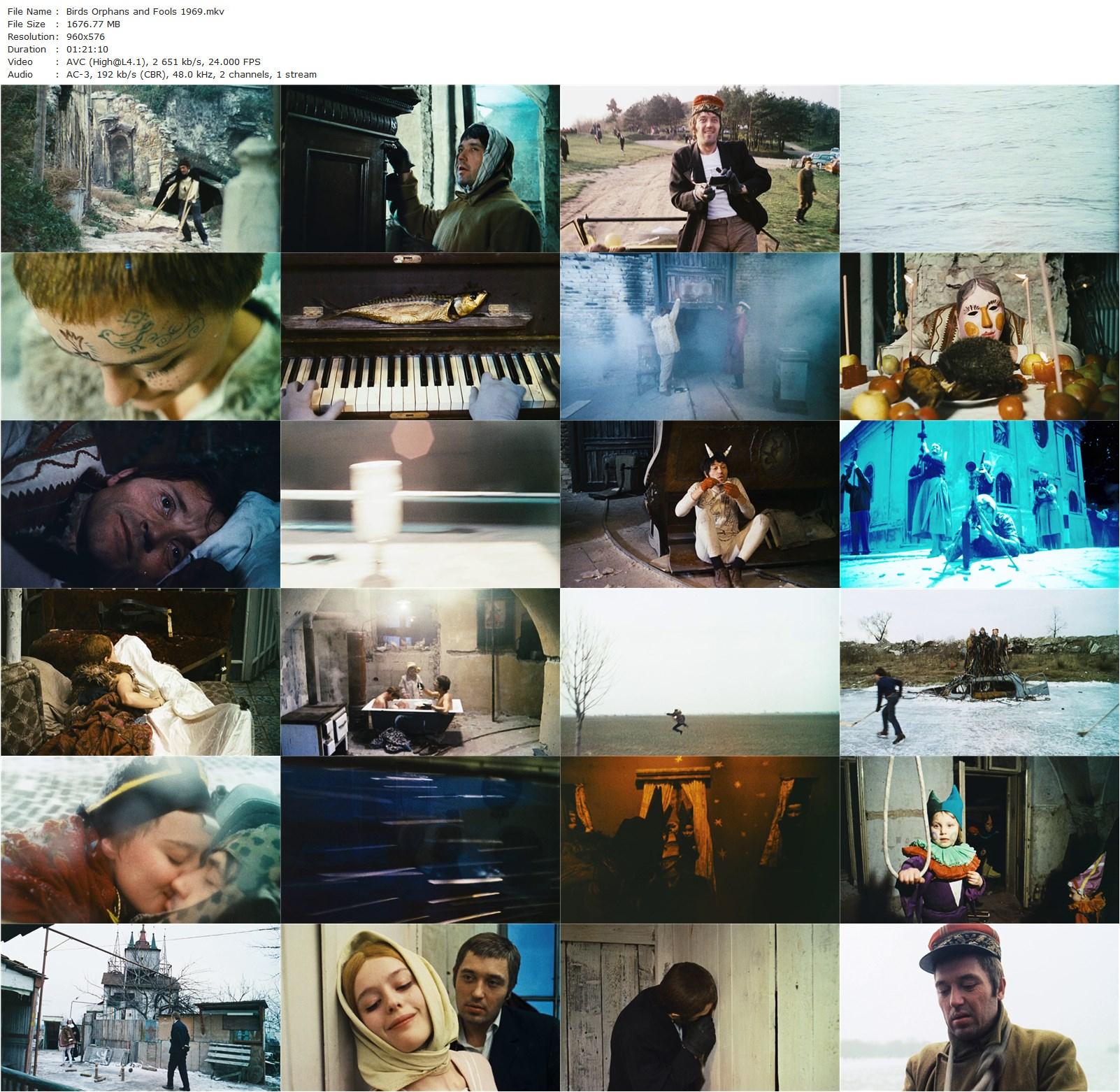 Birds, Orphans and Fools AKA Vtáckovia, siroty a blázni (1969) Juraj Jakubisko, Philippe Avron, Jirí Sýkora, Magda Vásáryová-poster