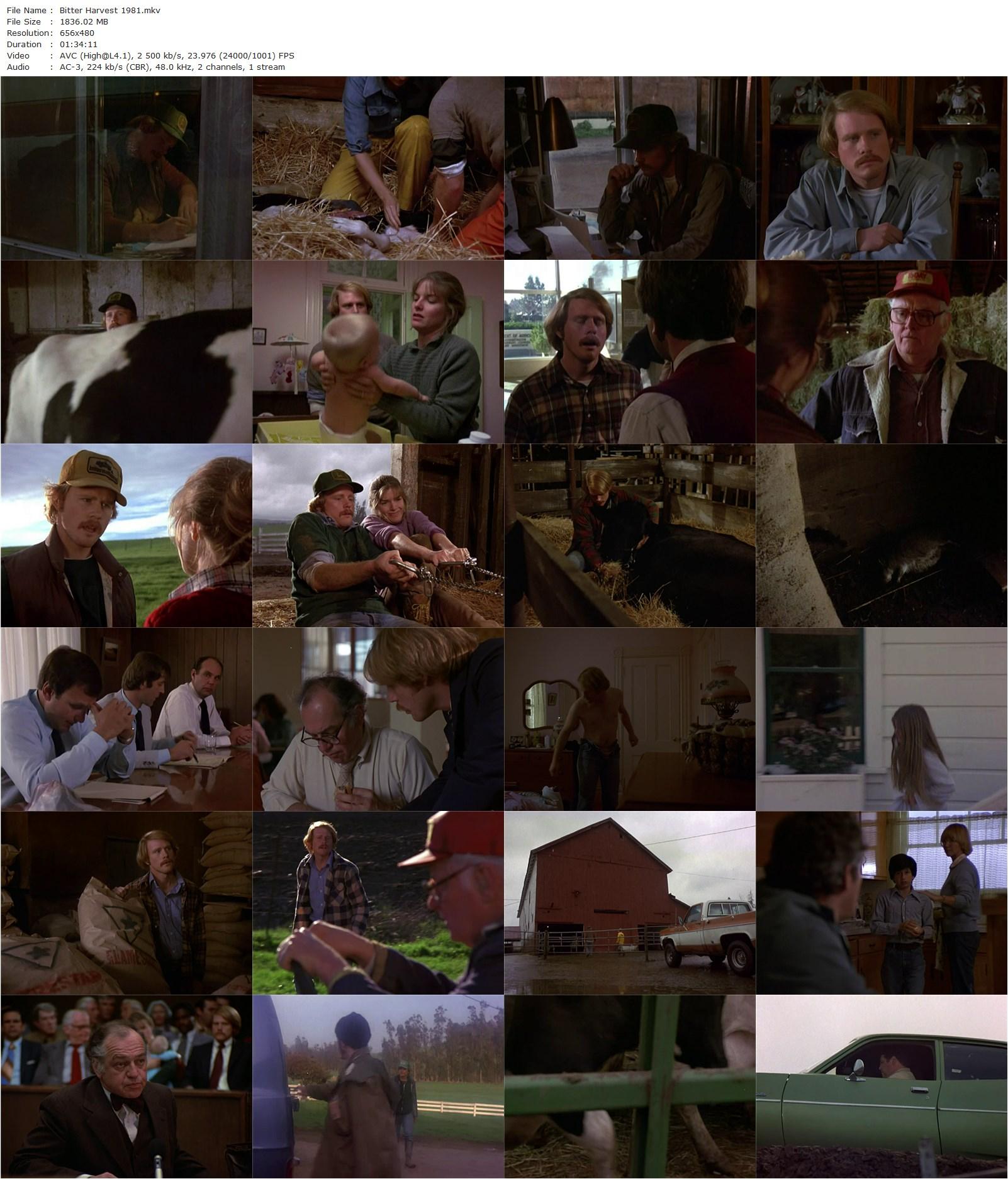 Bitter Harvest (1981) Roger Young, Ron Howard, Art Carney, Tarah Nutter-poster