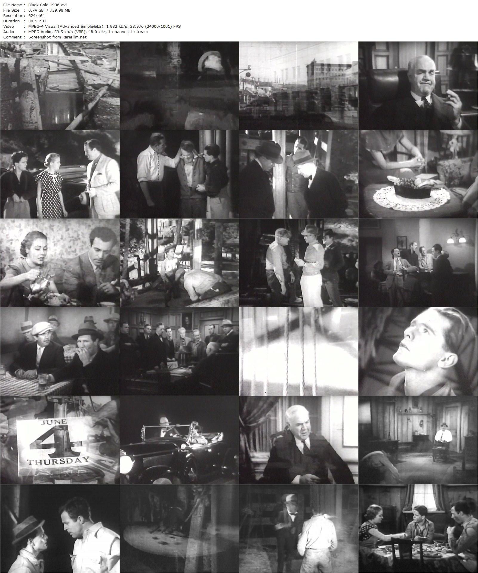 Black Gold (1936) Russell Hopton, Frankie Darro, LeRoy Mason, Gloria Shea-poster