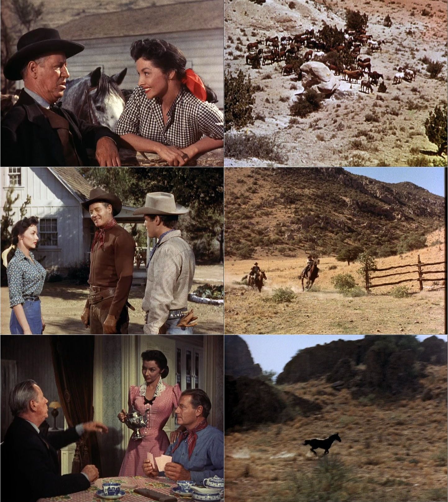 Black Horse Canyon (1954) Jesse Hibbs, Joel McCrea, Mari Blanchard, Race Gentry, Western-poster