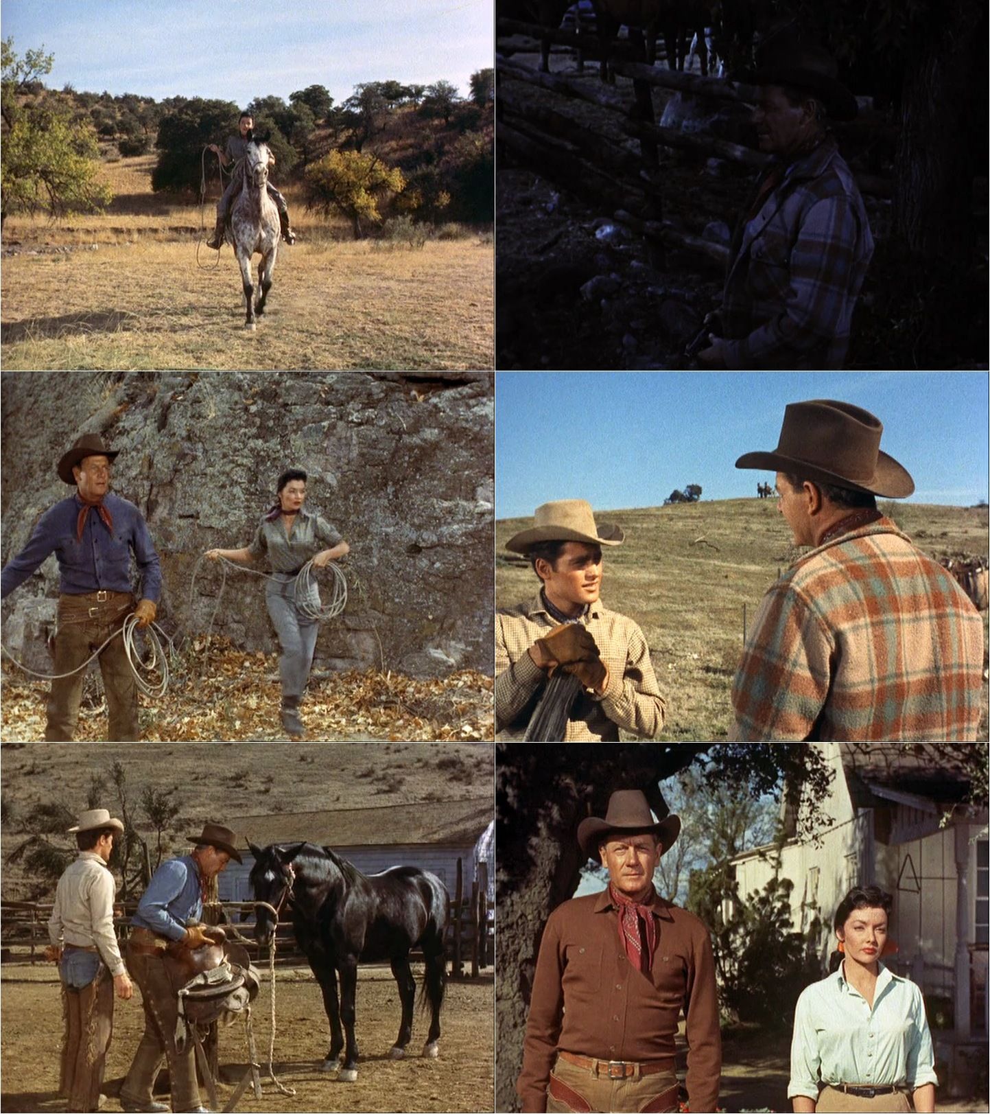 Black Horse Canyon (1954) Jesse Hibbs, Joel McCrea, Mari Blanchard, Race Gentry, Western-poster