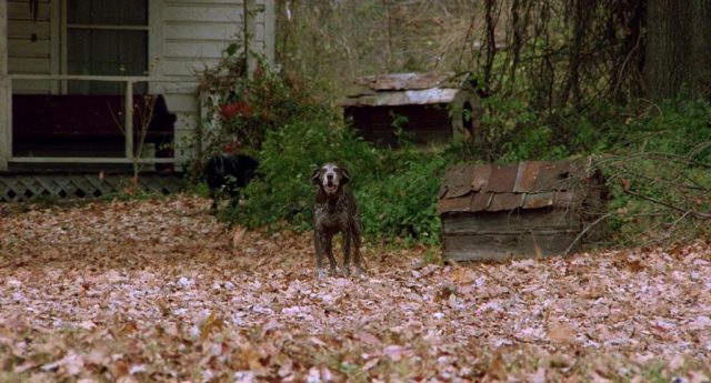 Black Rainbow (1989) | Worldscinema | Download Free-poster