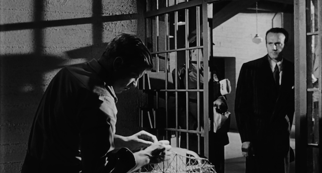 Black Tuesday (1954) by Hugo Fregonese-poster